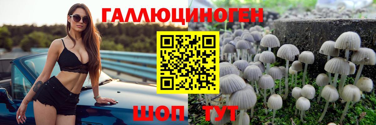 Кострома  Псилоцибиновые грибы мухоморы  Вход с VPN 